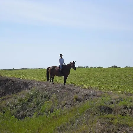 Ferienhaus Nahe Ostsee Und Wald