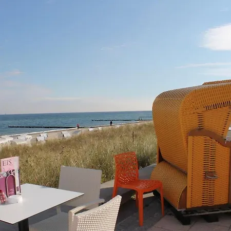 Nahe Ostsee Und Wald *