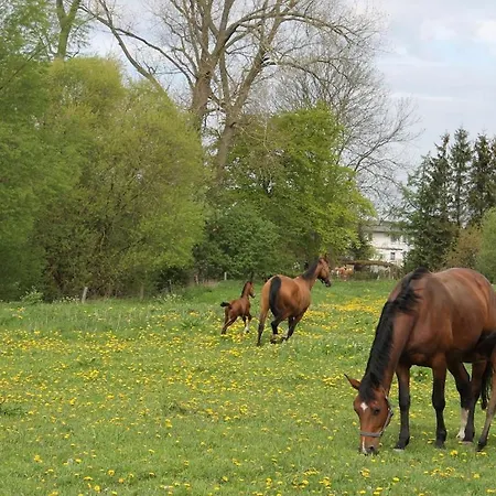 Nahe Ostsee Und Wald * Neubukow