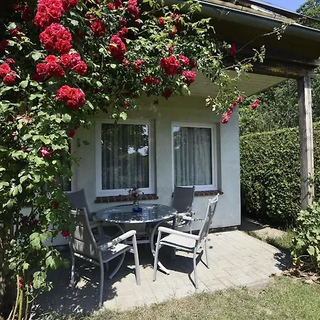 Nahe Ostsee Und Wald Ferienhaus