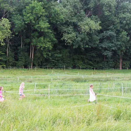 Ferienhaus Nahe Ostsee Und Wald *