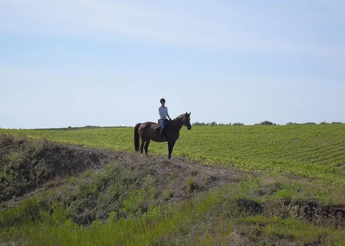 別荘 Nahe Ostsee Und Wald