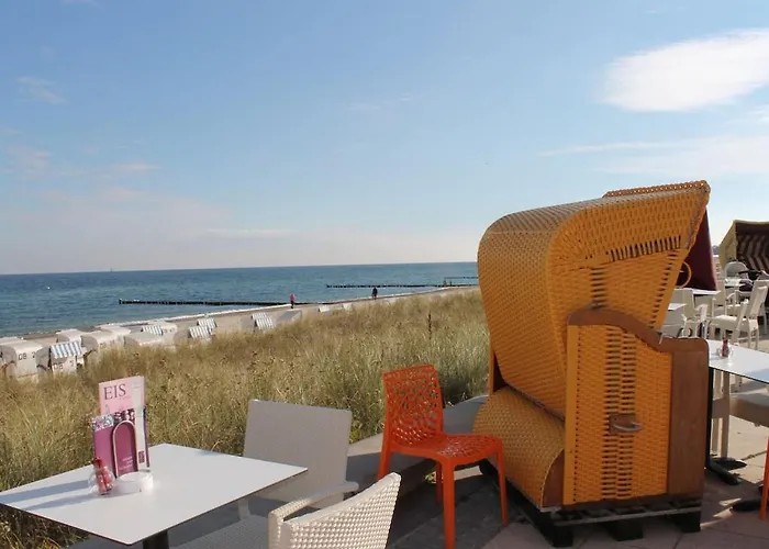 Nahe Ostsee Und Wald *