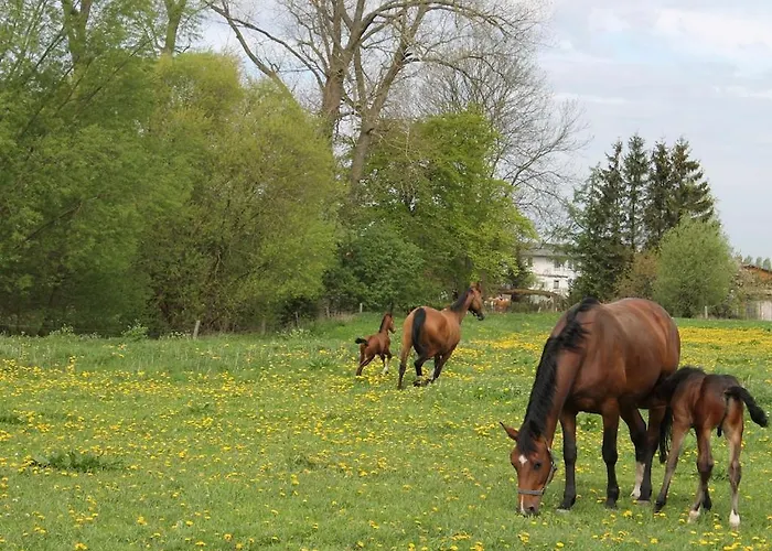 Nahe Ostsee Und Wald * Neubukow