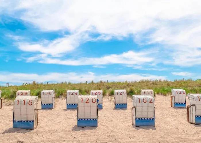 Nahe Ostsee Und Wald *