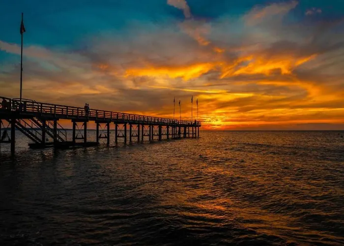 Nahe Ostsee Und Wald