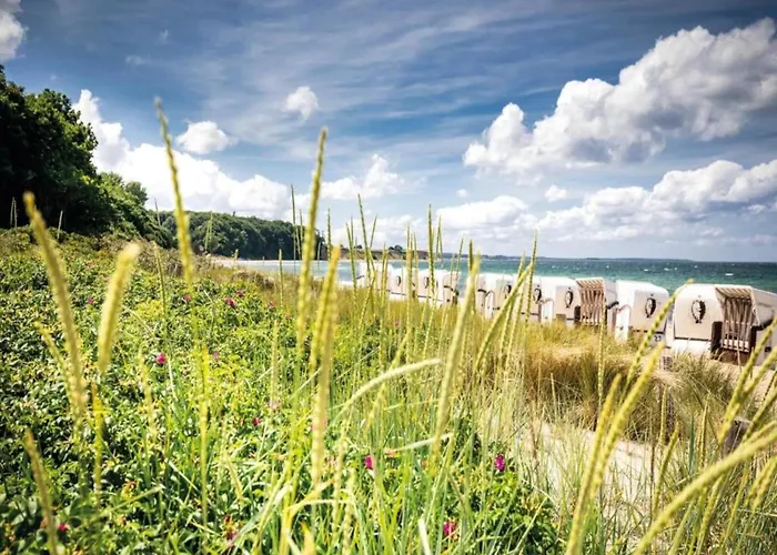 Nahe Ostsee Und Wald 別荘 *