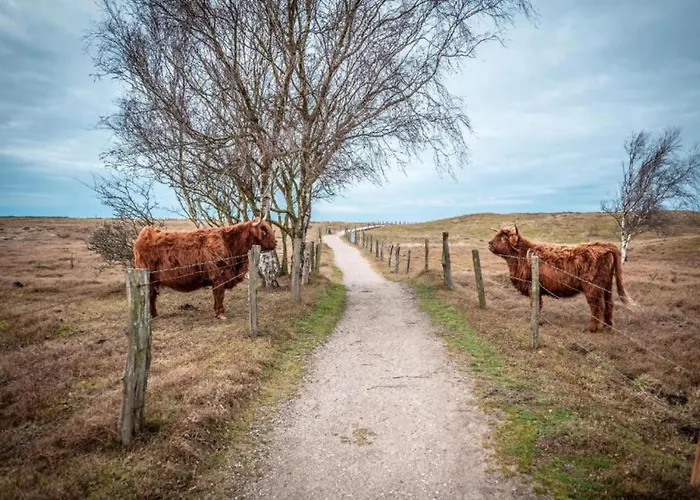 別荘 Nahe Ostsee Und Wald *