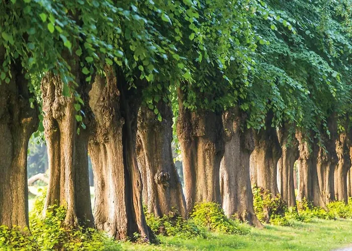 Nahe Ostsee Und Wald 別荘 Neubukow